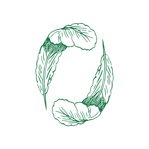 fabric choice logo 3